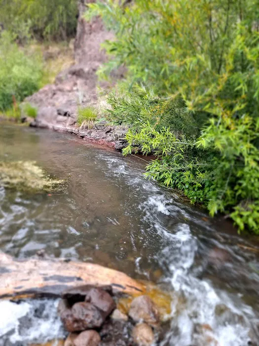 Forks Campground Picture 7