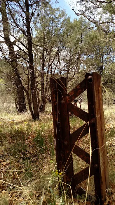 Black Canyon Campground - Lower Picture 2