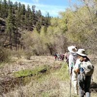 Black Canyon Campground - Lower ico