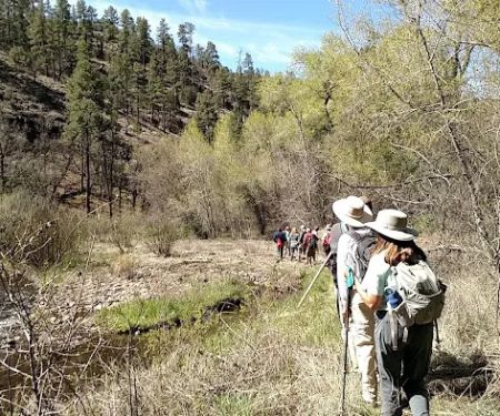 Black Canyon Campground - Lower