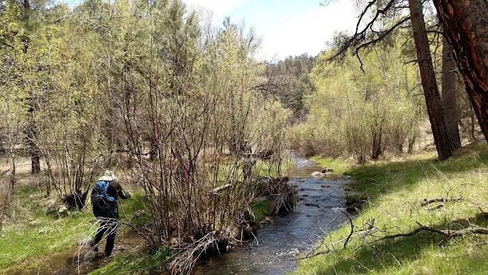 Black Canyon Campground - Lower Picture 3