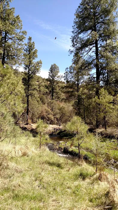 Black Canyon Campground - Lower Picture 4