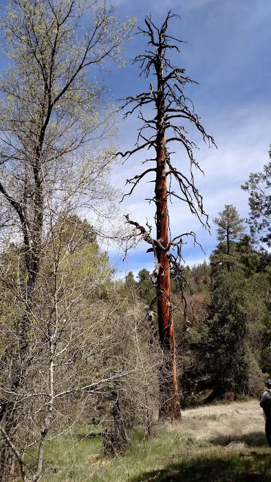 Black Canyon Campground - Lower Picture 7