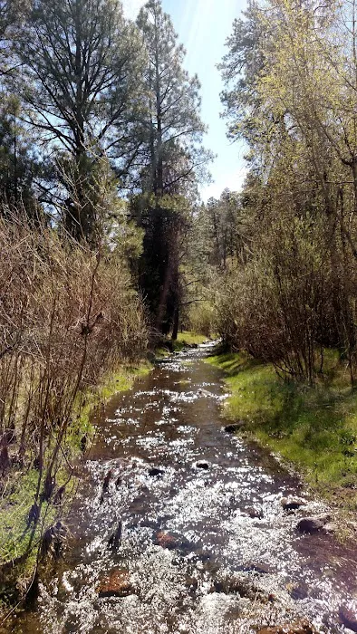 Black Canyon Campground - Lower Picture 5