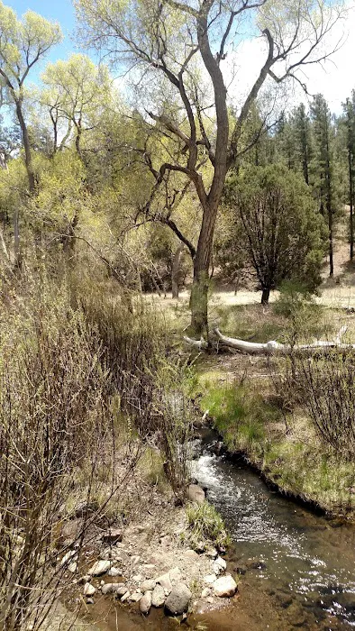 Black Canyon Campground - Lower Picture 10