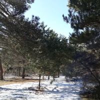 Black Canyon Campground - Upper (recgovnpsdata) ico