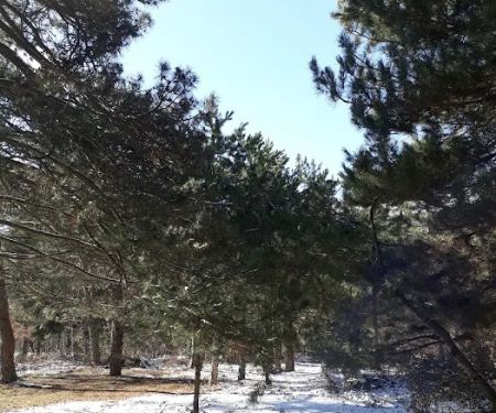 Black Canyon Campground - Upper (recgovnpsdata)