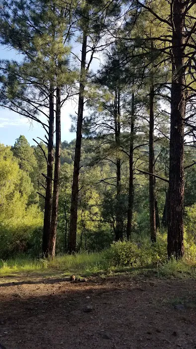 Black Canyon Campground - Upper (recgovnpsdata) Picture 5