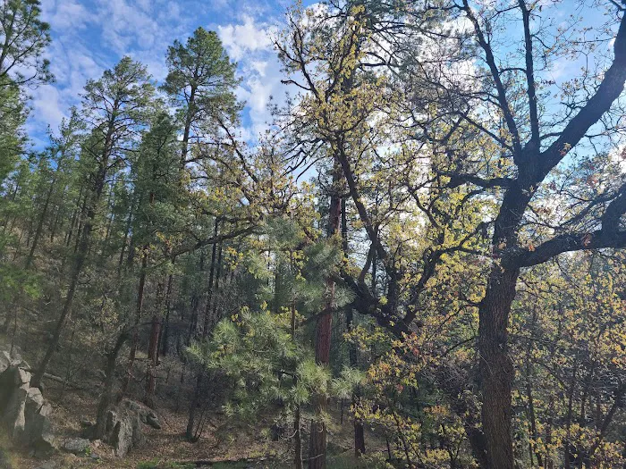 Black Canyon Campground - Upper (recgovnpsdata) Picture 6