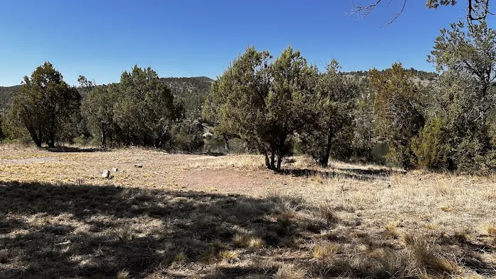Mesa Campground Picture 6