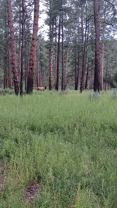 Upper End Campground Picture 4