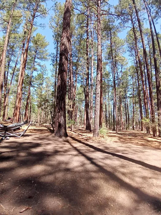 Sapillo Campground Picture 1