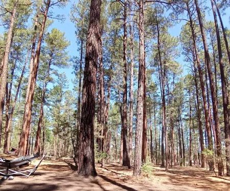 Sapillo Campground
