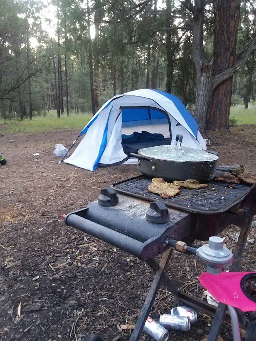 Sapillo Campground Picture 3