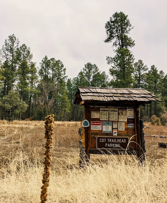 Sapillo Campground Picture 2