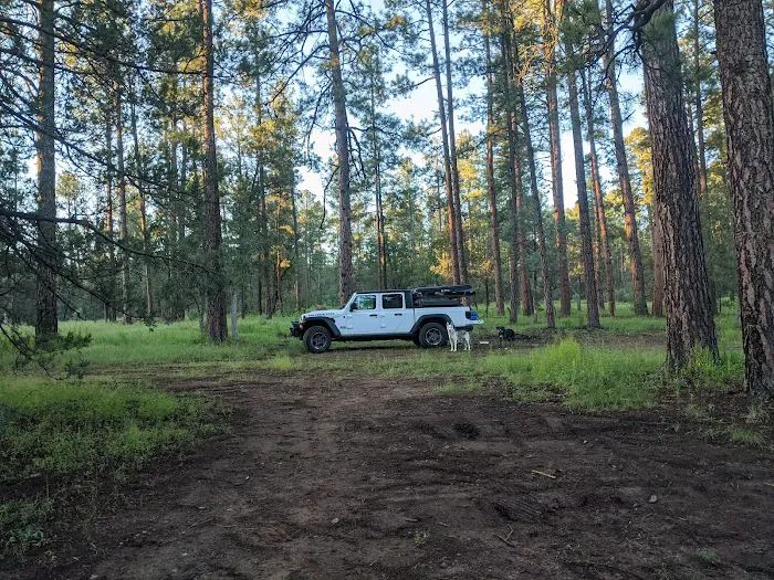 Sapillo Campground Picture 7