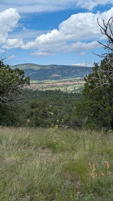 Sapillo Campground Picture 5