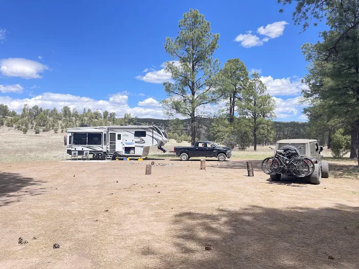 Comfort Well Dispersed Camping Area Picture 2