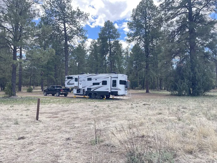 Comfort Well Dispersed Camping Area Picture 1
