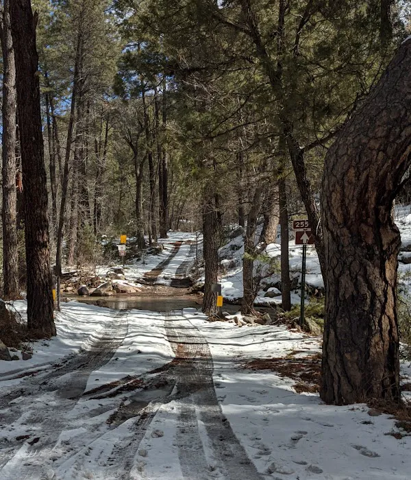 McMillan Campground Picture 4