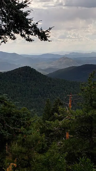 McMillan Campground Picture 5