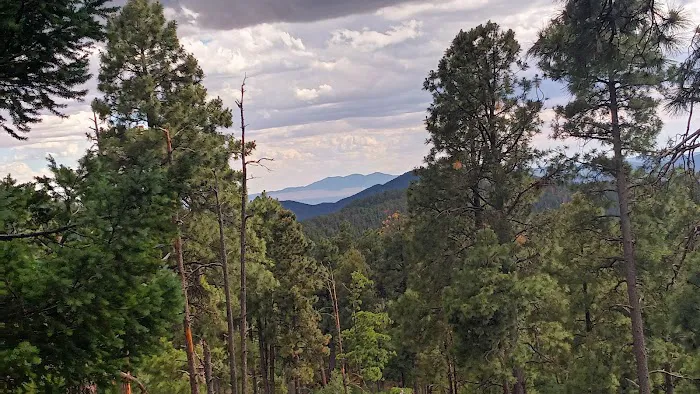 McMillan Campground Picture 6