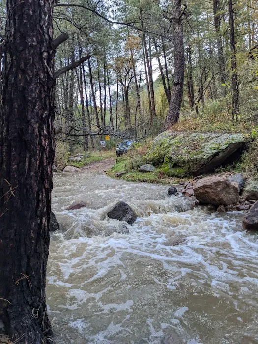 McMillan Campground Picture 8