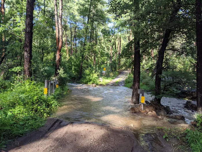 McMillan Campground Picture 7