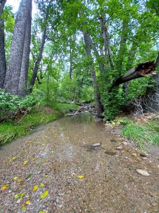 Cherry Creek Campground Picture 10