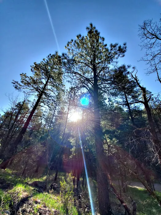 Cherry Creek Campground Picture 9