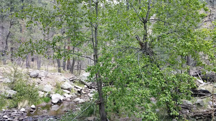 Railroad Campground Picture 10