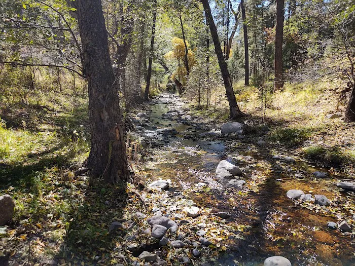 Upper Gallinas Campground Picture 3