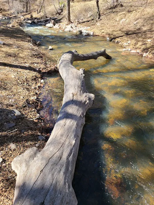Upper Gallinas Campground Picture 6