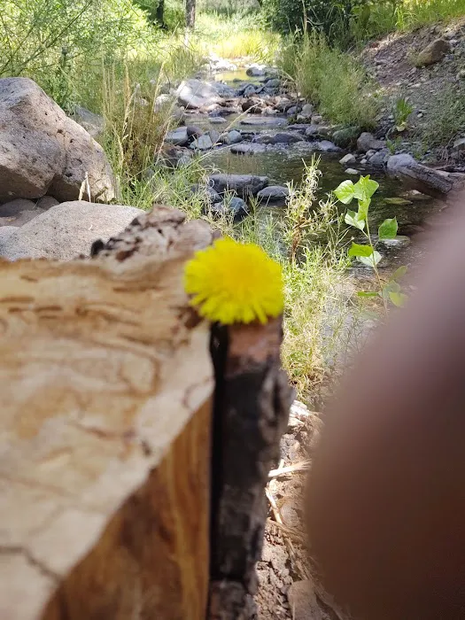 Upper Gallinas Campground Picture 7
