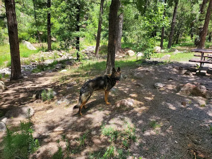 Upper Gallinas Campground Picture 8