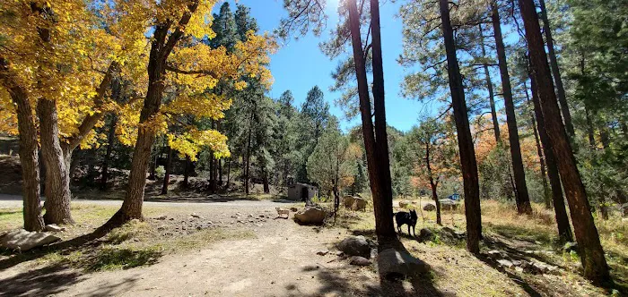 Upper Gallinas Campground Picture 10
