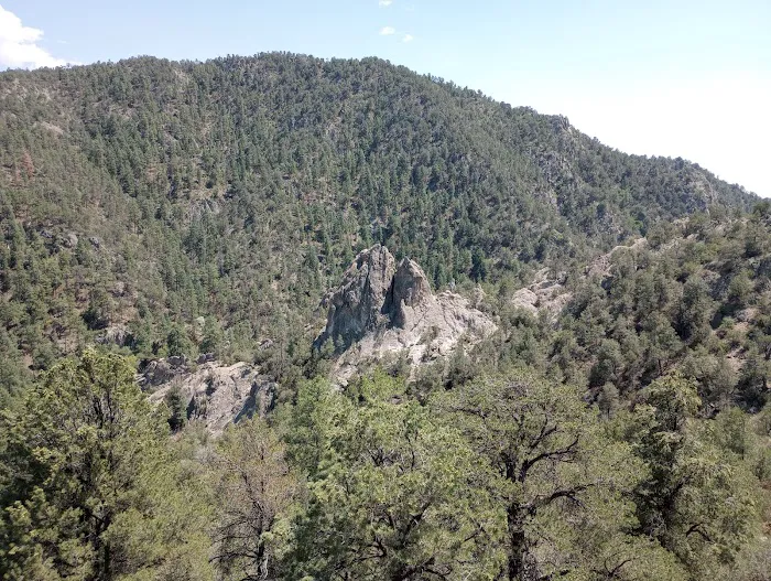 Upper Gallinas Campground Picture 9