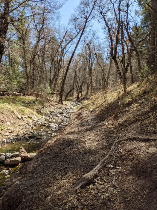 Iron Creek Campground Picture 1