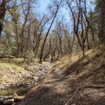 Iron Creek Campground