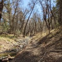 Iron Creek Campground ico