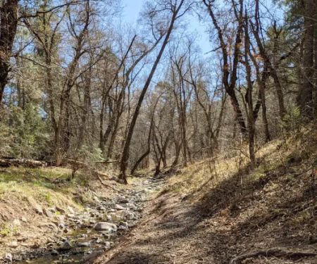 Iron Creek Campground