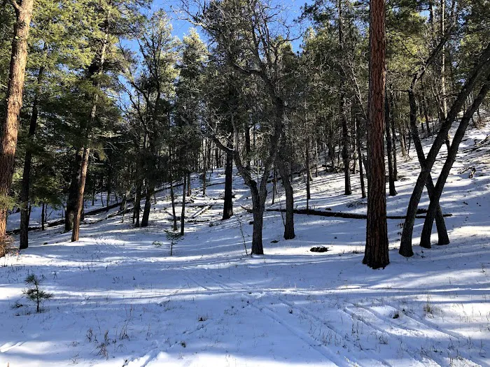 Iron Creek Campground Picture 5