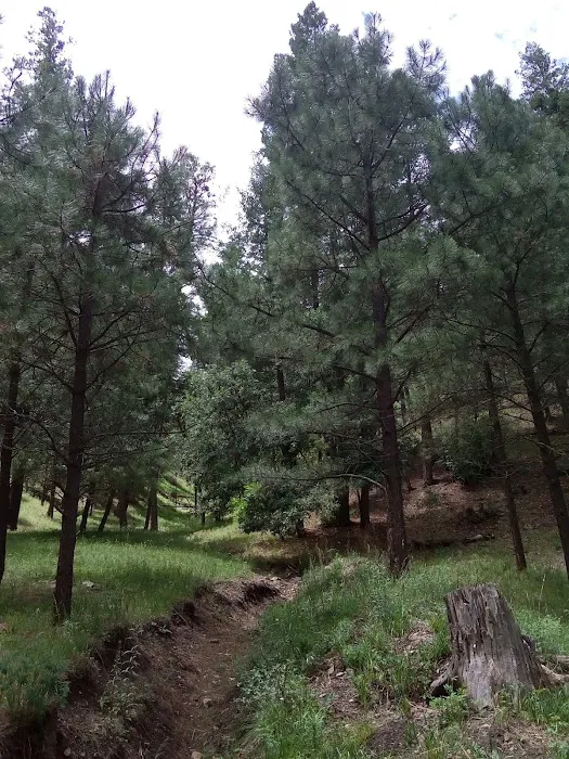 Iron Creek Campground Picture 8