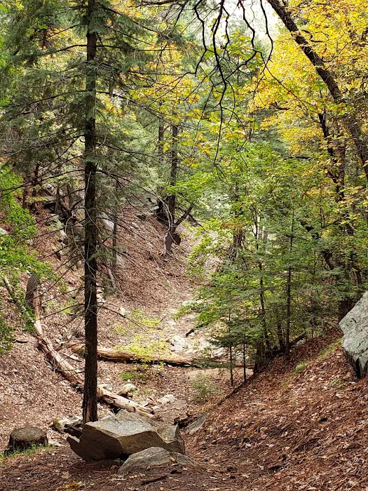 Arcadia Campground Picture 2