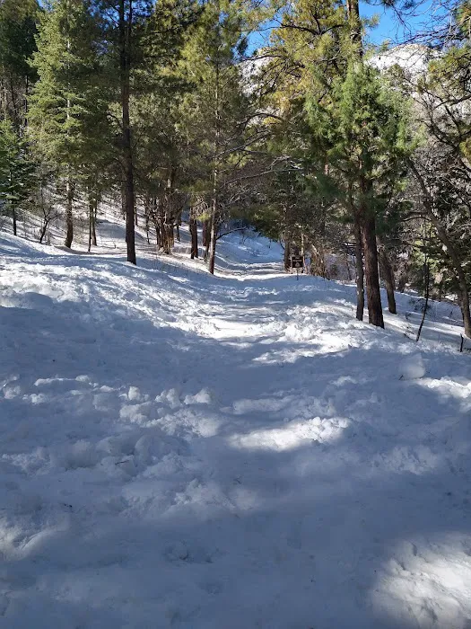 Arcadia Campground Picture 6