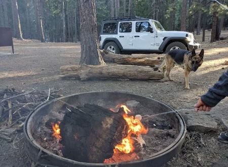 Upper & Lower Twilight Group Campground