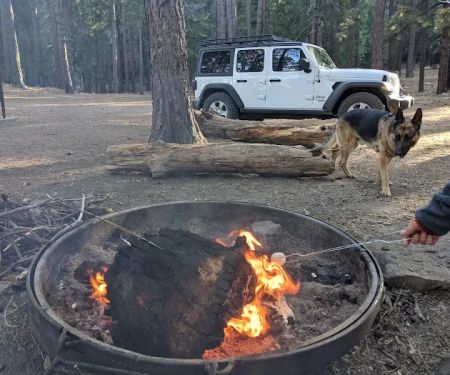 Upper & Lower Twilight Group Campground