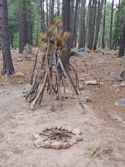 Upper & Lower Twilight Group Campground Picture 7