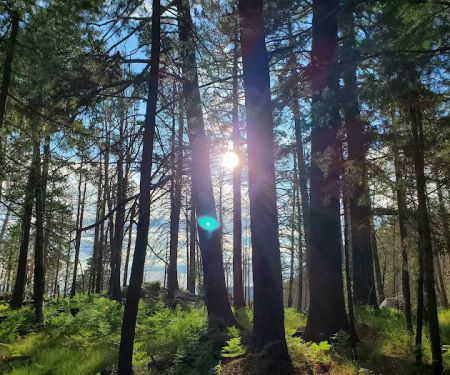 Shannon Campground
