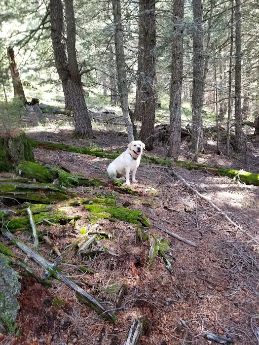 Shannon Campground Picture 10